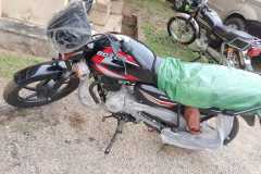 IMG-20230824-WA0015
